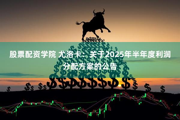 股票配资学院 尤洛卡：关于2025年半年度利润分配方案的公告