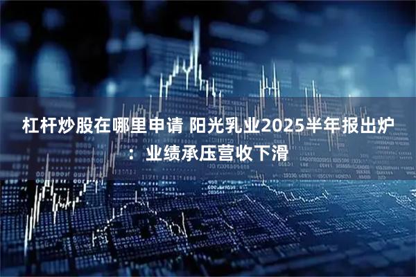 杠杆炒股在哪里申请 阳光乳业2025半年报出炉：业绩承压营收下滑