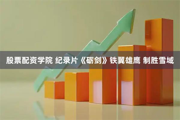 股票配资学院 纪录片《砺剑》铁翼雄鹰 制胜雪域