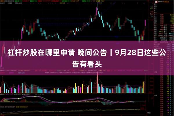 杠杆炒股在哪里申请 晚间公告丨9月28日这些公告有看头