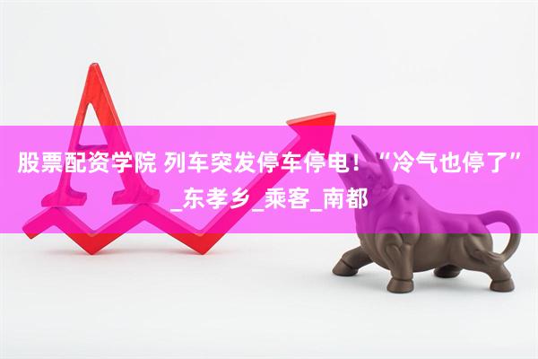 股票配资学院 列车突发停车停电！“冷气也停了”_东孝乡_乘客_南都