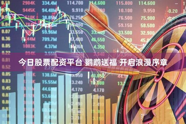 今日股票配资平台 鹦鹉送福 开启浪漫序章